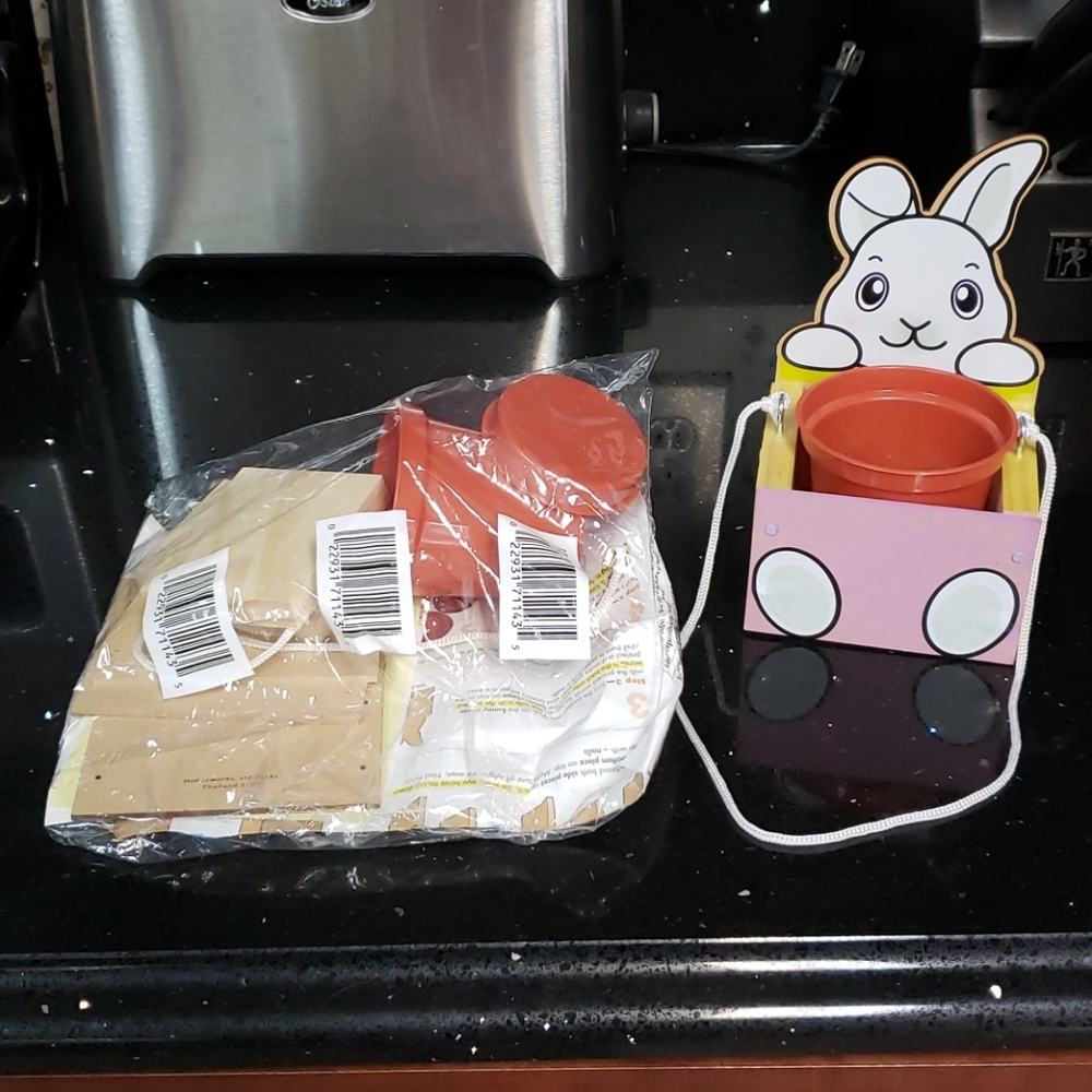 HOST PICK. RAINY DAY FUN! Kid's Home Depot Wood Workshop Bunny Planter